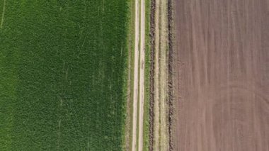 Bir tarım tarlasında harika bir bahar sabahı