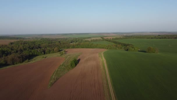 Чудовий Весняний Ранок Над Сільськогосподарським Полем — стокове відео