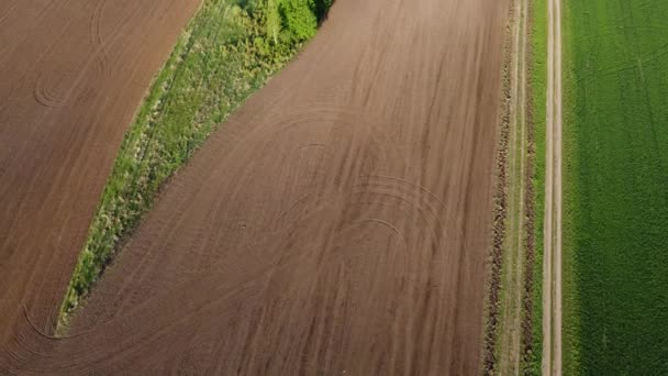 Ein Wunderbarer Frühlingsmorgen Über Einem Landwirtschaftlichen Feld — Stockvideo