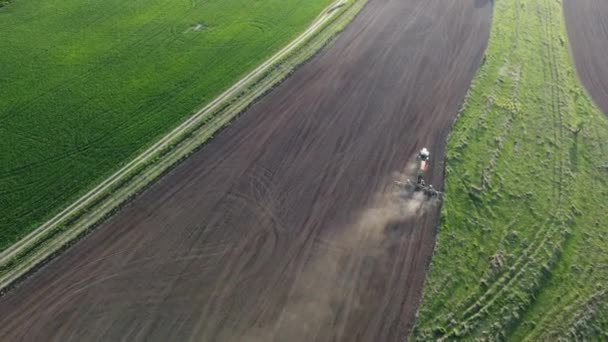 Ein Wunderbarer Frühlingsmorgen Über Einem Landwirtschaftlichen Feld — Stockvideo