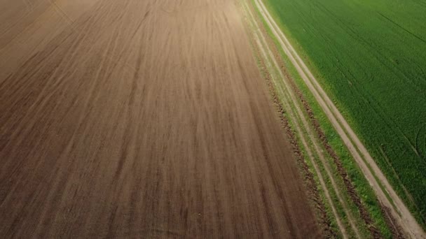 Ein Wunderbarer Frühlingsmorgen Über Einem Landwirtschaftlichen Feld — Stockvideo