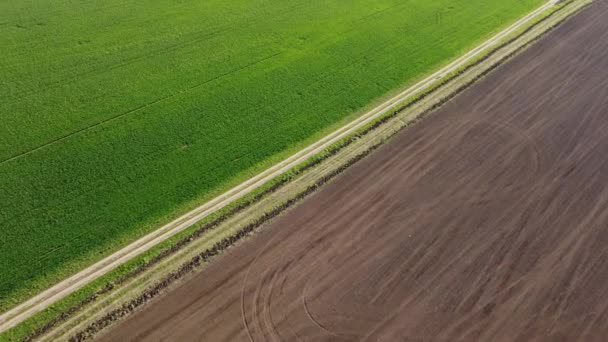 Ein Wunderbarer Frühlingsmorgen Über Einem Landwirtschaftlichen Feld — Stockvideo