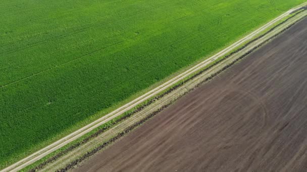 Ein Wunderbarer Frühlingsmorgen Über Einem Landwirtschaftlichen Feld — Stockvideo