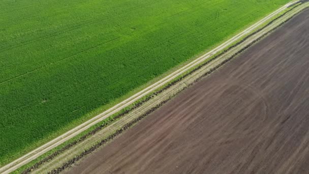 Ein Wunderbarer Frühlingsmorgen Über Einem Landwirtschaftlichen Feld — Stockvideo