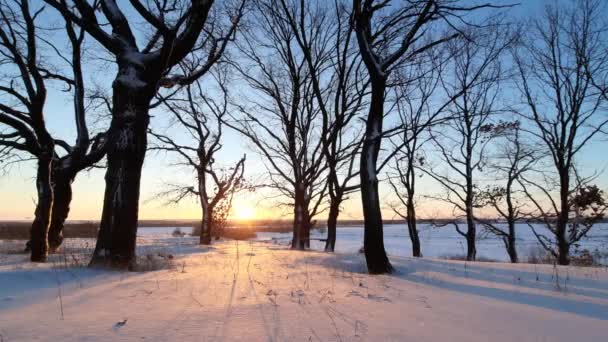 Prachtige Winterochtend Buiten Stad Een Sneeuwval — Stockvideo