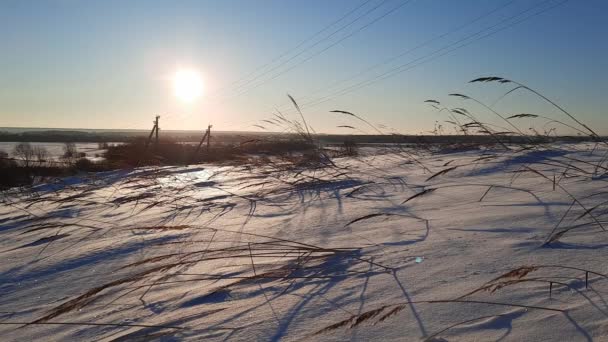 Belle Matinée Hiver Dehors Ville Après Une Chute Neige — Video