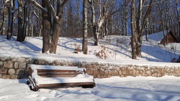 Hermosa Mañana Invierno Fuera Ciudad Después Una Nevada — Vídeos de Stock