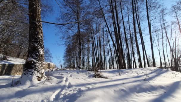 下了一场雪后 城外美丽的冬日清晨 — 图库视频影像