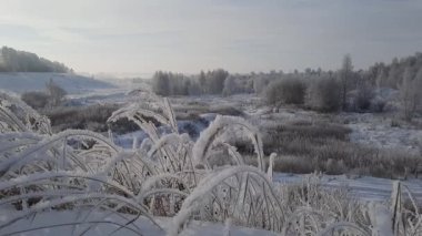 Buz tutmuş kış sabahı nehirdeki ağaçların yanında