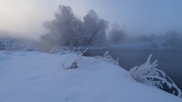 Buz tutmuş kış sabahı nehirdeki ağaçların yanında