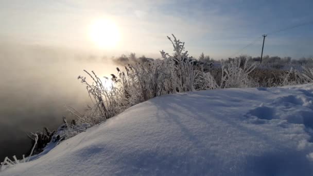 Frosty Winterochtend Bij Rivier Bomen Vorst — Stockvideo