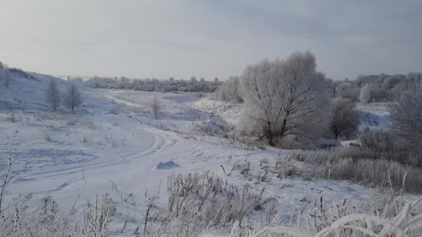 Frosty Winterochtend Bij Rivier Bomen Vorst — Stockvideo
