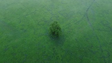 Kırsalda harika bir sabah