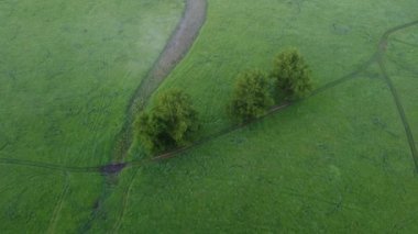 Kırsalda harika bir sabah