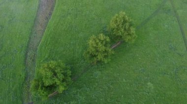 Kırsalda harika bir sabah