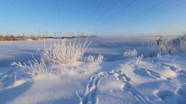 Buz gibi bir kış sabahı şehrin dışındaki dallar buz tutmuş.