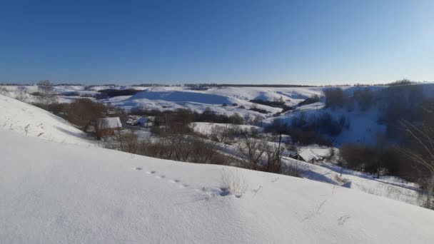 Морозное Зимнее Утро Пределами Городских Филиалов Мороз — стоковое видео