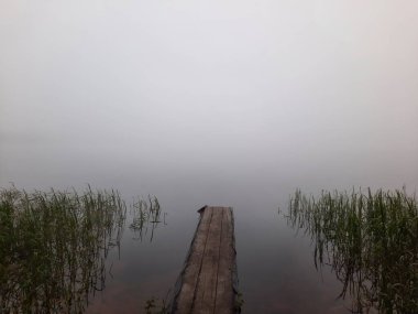 Şehir dışında sisli bir yaz sabahı