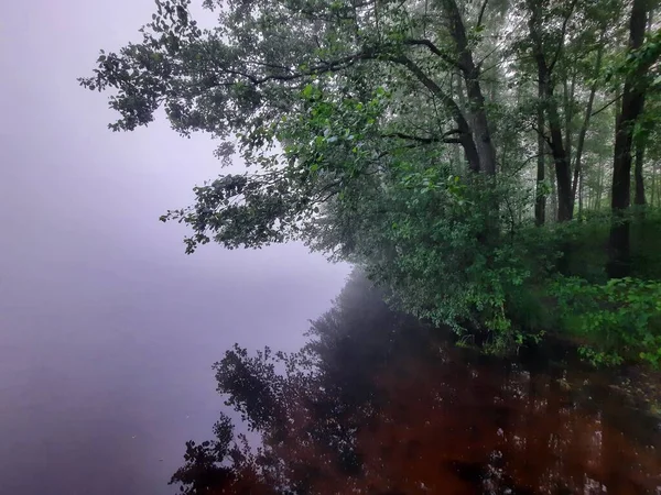 Туманное Летнее Утро Городом — стоковое фото