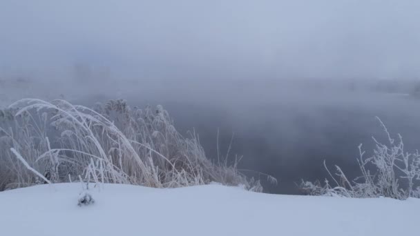 Frostiger Wintermorgen Außerhalb Der Stadt Bei Frost — Stockvideo