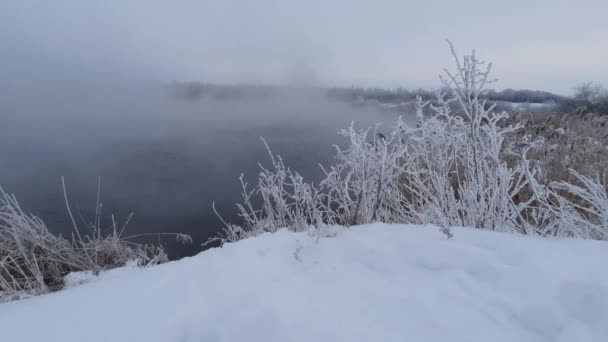 寒冷的冬日清晨 城外的树枝在霜冻中 — 图库视频影像