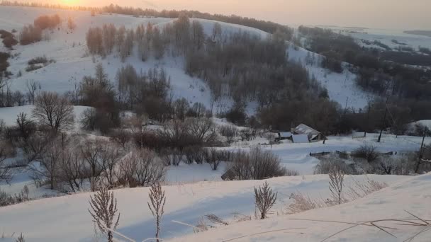 Морозное Зимнее Утро Пределами Городских Филиалов Мороз — стоковое видео