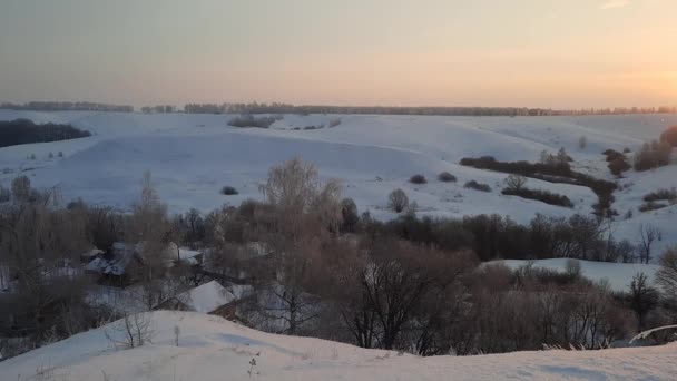 Морозное Зимнее Утро Пределами Городских Филиалов Мороз — стоковое видео