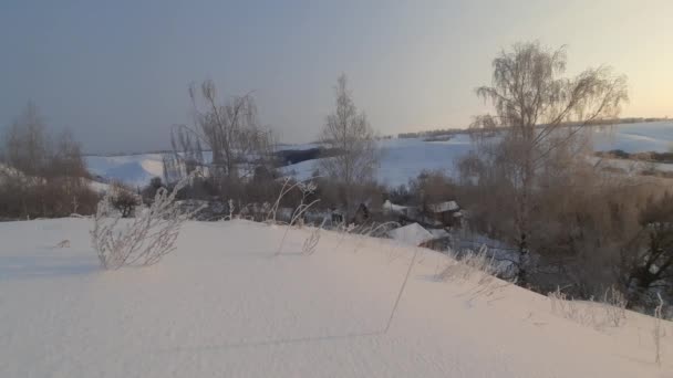 Морозное Зимнее Утро Пределами Городских Филиалов Мороз — стоковое видео