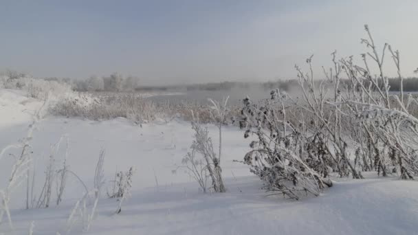 Buz Gibi Bir Kış Sabahı Şehrin Dışındaki Dallar Buz Tutmuş — Stok video