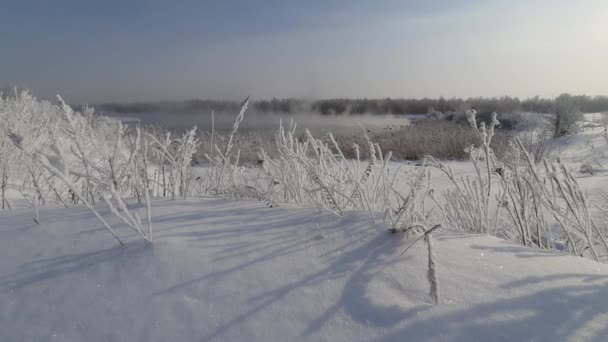 Buz Gibi Bir Kış Sabahı Şehrin Dışındaki Dallar Buz Tutmuş — Stok video