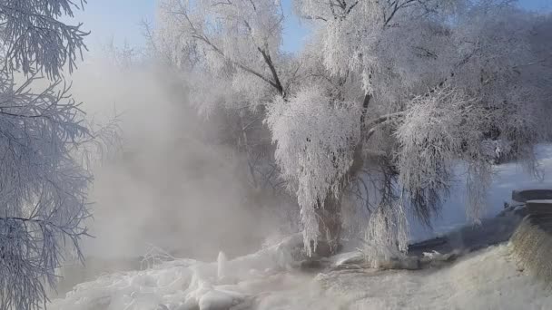 Mañana Invierno Helada Fuera Las Ramas Ciudad Las Heladas — Vídeo de stock