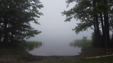 Şehrin dışında sisli bir sabah.