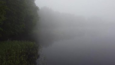 Şehrin dışında sisli bir sabah.