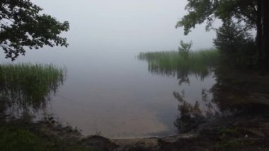 Şehrin dışında sisli bir sabah.