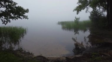 Şehir manzarasının dışında puslu şafak