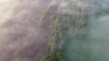 Şehir manzarasının dışında puslu şafak