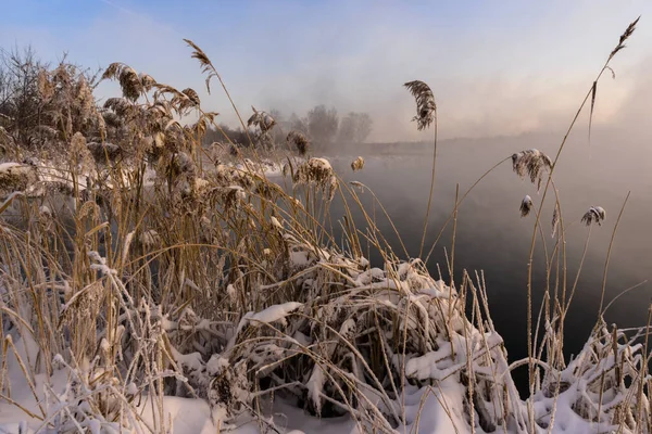Frosty Téli Reggel Városon Kívül Miután Egy Hóesés — Stock Fotó