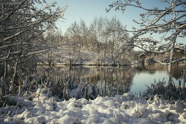 Frosty Vintermorgon Utanför Staden Efter Ett Snöfall — Stockfoto