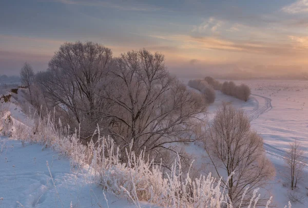Морозное Зимнее Утро Городом После Снегопада — стоковое фото