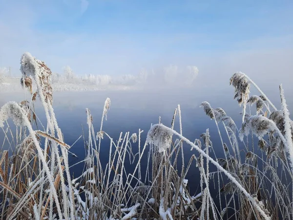 Frosty Matin Hiver Dehors Ville Après Une Chute Neige — Photo