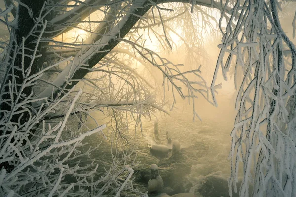 Frosty Matin Hiver Dehors Ville Après Une Chute Neige — Photo