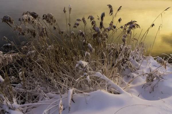 雪の後の街の外の霜の冬の朝 — ストック写真