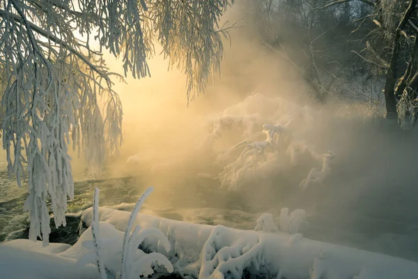 Frosty Téli Reggel Városon Kívül Miután Egy Hóesés — Stock Fotó