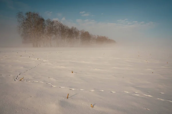 雪の後の街の外の霜の冬の朝 — ストック写真