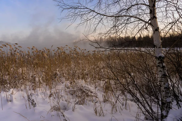 Frosty Vintermorgon Utanför Staden Efter Ett Snöfall — Stockfoto