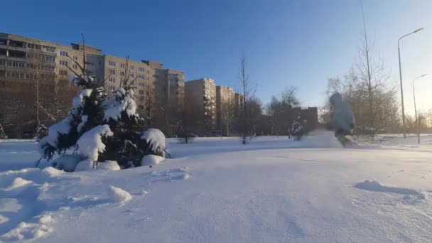 Прекрасный Зимний Вечер Парке Прогулка Ребенком — стоковое видео