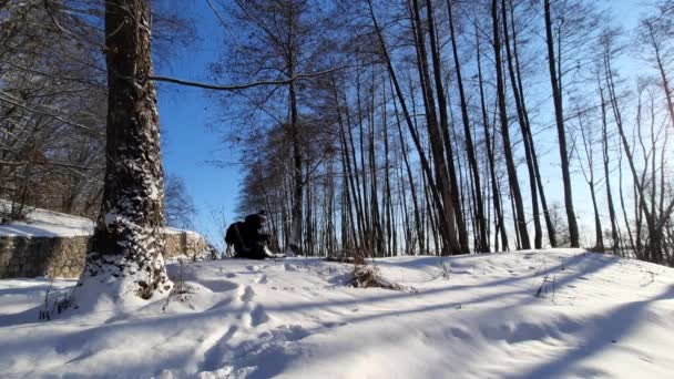公園で凍えるような冬の朝の散歩 — ストック動画