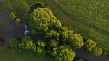 Şehir manzarası dışında yaz sabahı