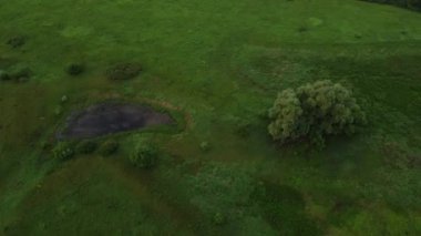 Şehir manzarası dışında yaz sabahı