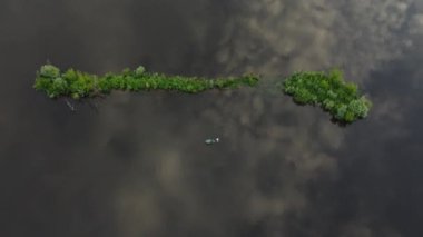 Şehir manzarası dışında yaz sabahı